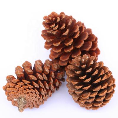 China Christmas Decoration Christmas Pine Cones Natural Dyed Red Pinecones Craft For Gift Decoration Ornaments for sale