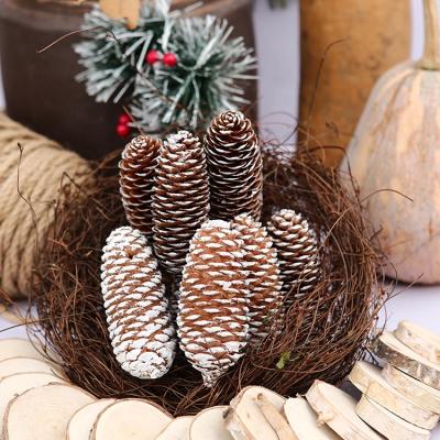 China Natural Insect Free Dry Christmas Decoration Pine Cones Are Suitable For Home Decoration Craft Ornaments for sale