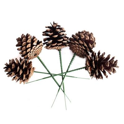 China Christamas Home Decoration Indoor Home Hanging Christmas Tree Decoration Use Wooden Pinecone Ornaments Exquisite Natural Christmas Pine Cones for sale