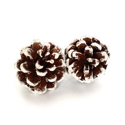 China 2021 Hot Sale High Quality Christamas Home Decoration For Christmas Tree Decoration And Home Decoration Natural White Small Pine Cone for sale