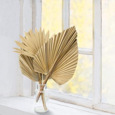 China Gift Wholesale Amazon Hot Sale Preserved Dried Palm Leaves Fan Bouquet For Wedding Home Decoration for sale