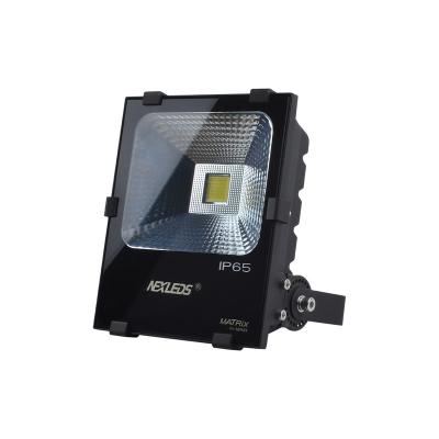 China Theme Park NEXLEDS Matrix 50 watt anti RGB color glowing temp variable outdoor lamp led flood light for sale