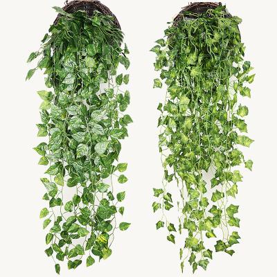 China Easy Home Hotel Display Flower Wall Hanging Simulation Green Dill Decorative Wall Hanging for sale