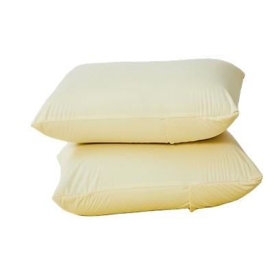 China 20 x 20 Sustainable Cotton Terry Plain Soft Waterproof Pillow Covers With Zipper for sale