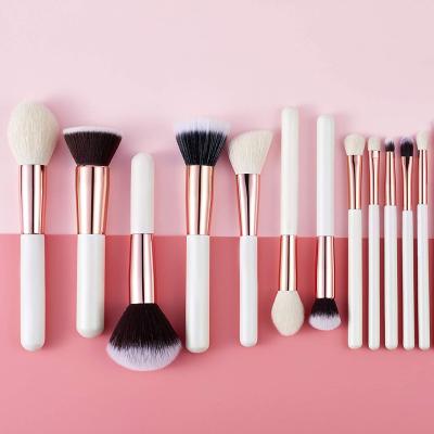 China Angular Blush Makeup Brush Private Label 25pcs Soft Dense Wooden Hair Face/Eye Makeup Brushes for sale