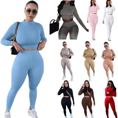 China Two Piece Set Turtle Fashion Waterproof Casual Solid Base Neck Long Sleeve 2 Piece Pants Custom Set Women for sale