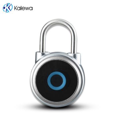 China Can Store 20 Fingerprint Smart Locks For Home Biometric Fingerprint Lock Smart Key Anti Theft for sale