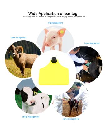 China Farms Live Stack Ear Tag Ingraver UHF RFID Ear Tag Animal Ear Tag For Cattle/Pig/Sheep for sale