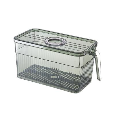 China Sustainable Refrigerator Food Crisper with Lid and Handle Kitchen Storage Box Large Capacity Plastic Transparent Pet Storage Box for sale