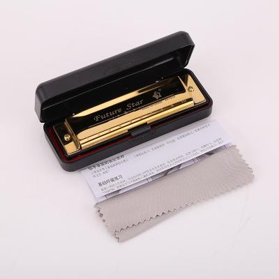 China Steel OEM Customized 10 Hole Harmonica With Black Case For Kids for sale