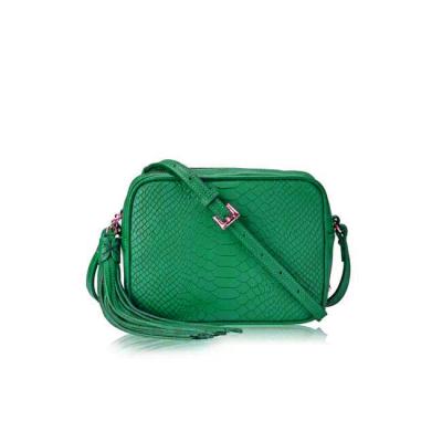 China 2021 fashion style shoulder bag green alligator version girls handbag Europe style chic crocodile cross - body bag with tassel for sale