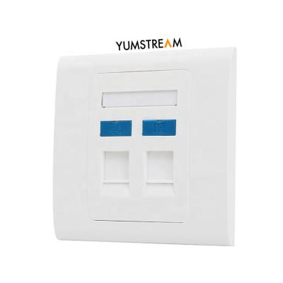 China Dual 2port telecom network socket rj45 faceplate rj45 cat 6 cat 6a cat6 wall plate for sale