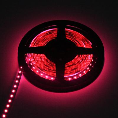 China Color rosado flexible 1000 x 10m m 24VDC del material 5050 de la tira de cobre del RGB LED en venta