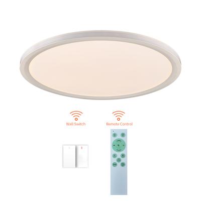 China Outdoor Mounted Factory Price Wholesales CCT Remote Control Dimmable Adjustable Led Smart Ceiling Light for sale