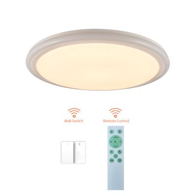 China Dimmable Modern Ceiling Lamp Modern Hotel Ceiling Lamps For Home for sale