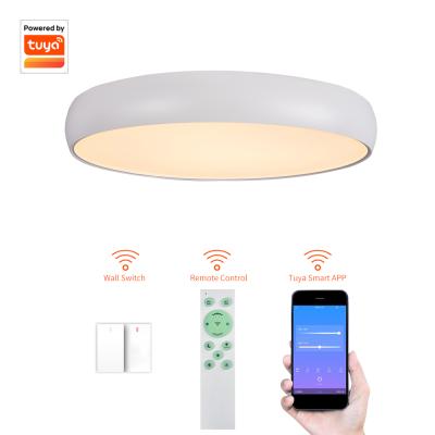 China Cheap Price High Quality Surface Mounted Living Room Bedroom Led Light Ceiling Lamps for sale