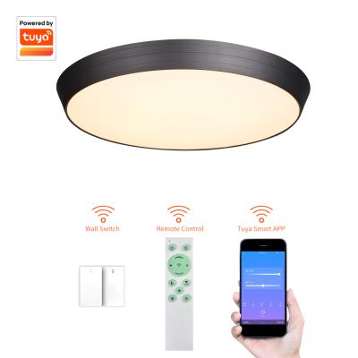 China Modern European Classic Design Bedroom Lamp Dimmable Super Bright Led Lighting Ceiling for sale