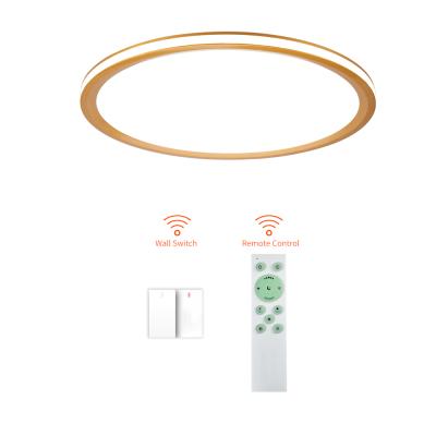 China Dimmable modern smart remote control smd round surface mount led light ceiling light for sale