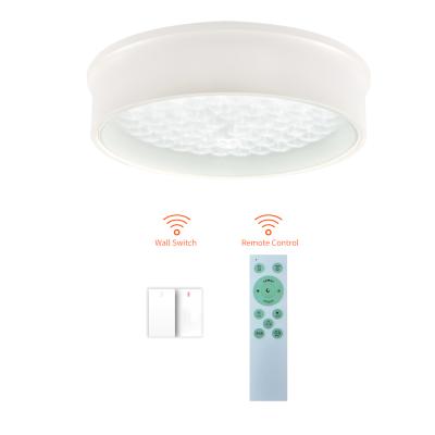 China Surface Mounted Modern Smart Bedroom Bathroom Jellyfish Effect Led Lights For Home Ceiling for sale