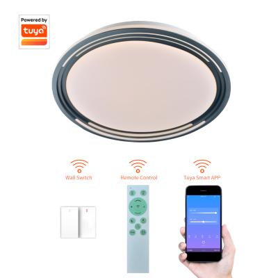 China Outdoor Mounted Wholesales Dimmable Circular Panel Led Mount Outdoor Ceiling Light for sale