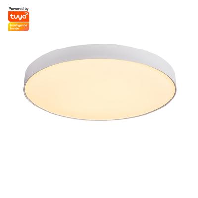 China Modern Smart Ultra Thin Led Ceiling Lamp For Home Ceiling Lamps for sale