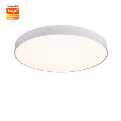 China Modern Multifunction Smart Wifi Surface Mounted Led Ceiling Light Lamp for sale