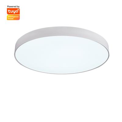 China Surface Mounted CE Popular Aluminum Body Slim Acrylic Ceiling SAA Indoor Lamp for sale