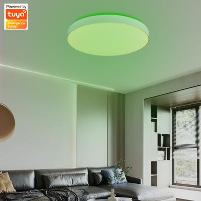 China Modern Modern Dimmable Surface Mounted Adjustable Ceiling Down Light for sale