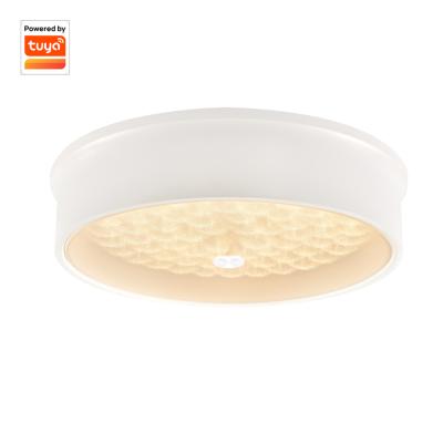 China Surface mounted European style living room led ceiling light lamp for sale