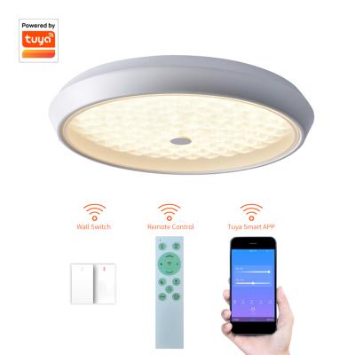 China Outdoor Mounted Modern Living Room Lighting Dimmable Outdoor Mount Smart Ceiling Lamp for sale