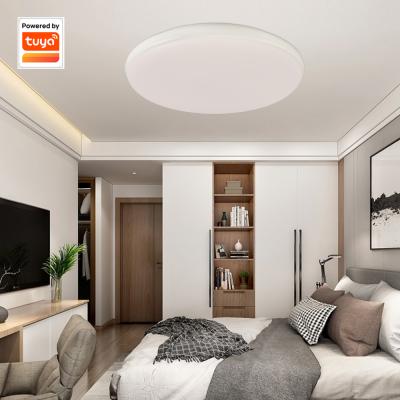 China Outdoor Bed Room Lighting Remote Control Dimmable Chandeliers Ceiling Pendant Light for sale