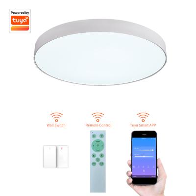 China Modern cheap price wifi simple smart led ceiling lights price for sale