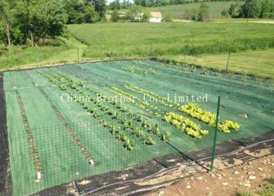 China Black Air Permearble PP Woven Fabric Agriculture Cover / Ground Protection Mat for sale