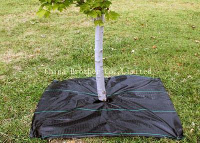 China Anti UV Woven PP Ground Cover Fabric Black Color for sale