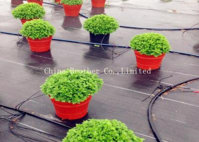 China Durable Garden Ground Weed Control Fabric Farm Mulch Film Black Color Eco - Friendly for sale