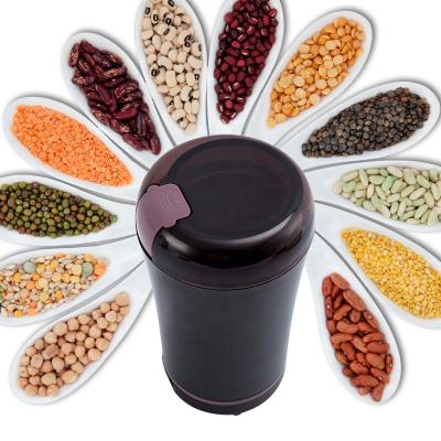 China New Viable Kitchen Electric Coffee Grinder Mini Salt Pepper Grinder Coffee Bean Grinder Machine for sale