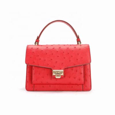 China Fashion Trend OEM ODM Ostrich Handbag Genuine Ostrich Leather Bag Only for sale