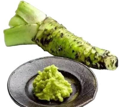 China Air dry dried green vegetables dehydrated fresh wasabi for sale