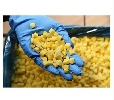 China FROZEN Quick Freeze Mango IQF Mango Cubes Frozen Flakes for sale