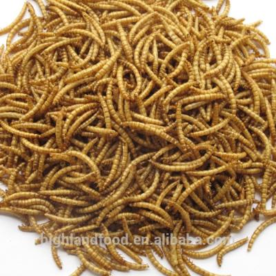 China Dried Mealworms Dried For Pet Food Mealworm for sale