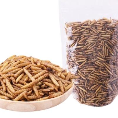 China Viable Microwave Dried Black Soldier Fly Flies For High Protein Bird Pet Food for sale