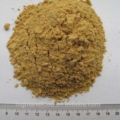 China Dry First Rate Dry Dehydrated Ginger Powder for sale