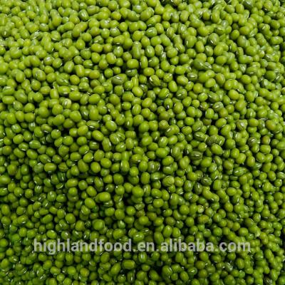 China Dry dried mung beans/green beans for sale