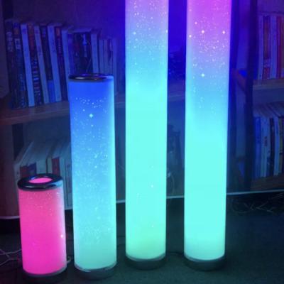 China Modern Indoor LED Floor Lamps With Outdoor For Living Room Bedroom Hotel Romantic Star Light for sale