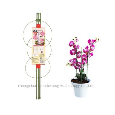 China Pastoral Sturdy And Versatile Plant Support Circle For Growing Plant Tomato Stakes for sale