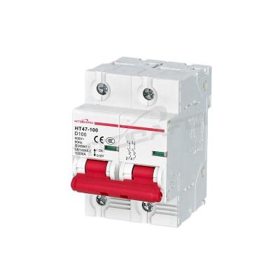 China 10ka C 50/60Hz AC DIN Rail Rigged Mini Circuit Breaker MCB 2P80A-100A 10KA for sale