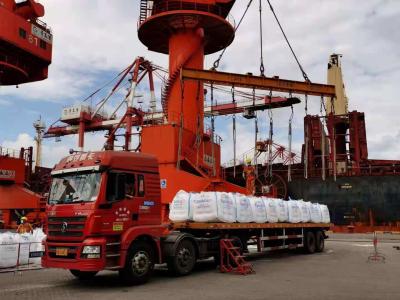 China Remetente de frete altamente eficiente de LCL no transporte do mar a Alexandria à venda