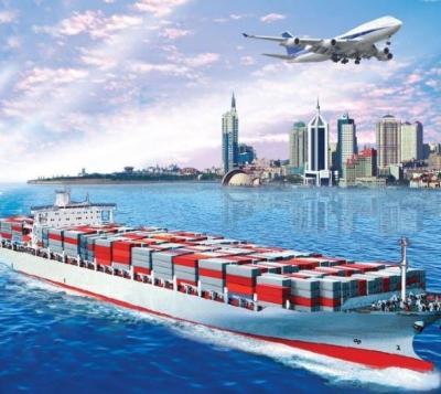 China Agente de transporte Logistic Sea Shipping de Qingdao a Estônia à venda