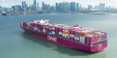 China OEM ODM Full Container Load Shipping In Sea Shipping To Dunajska for sale