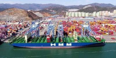 China Sicher und schnell FCL Full Container Shipping Agent in China nach Rijeka zu verkaufen